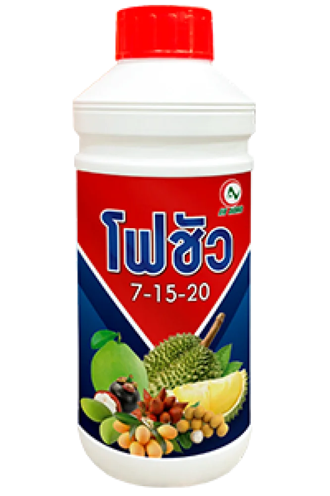 โฟชัว